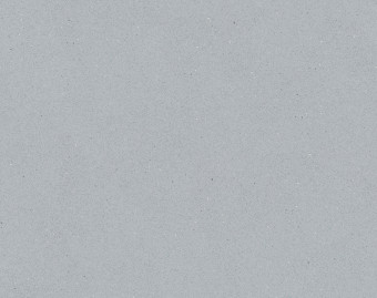 [1001111132_15] SafeStep R12 - 175862 silver grey